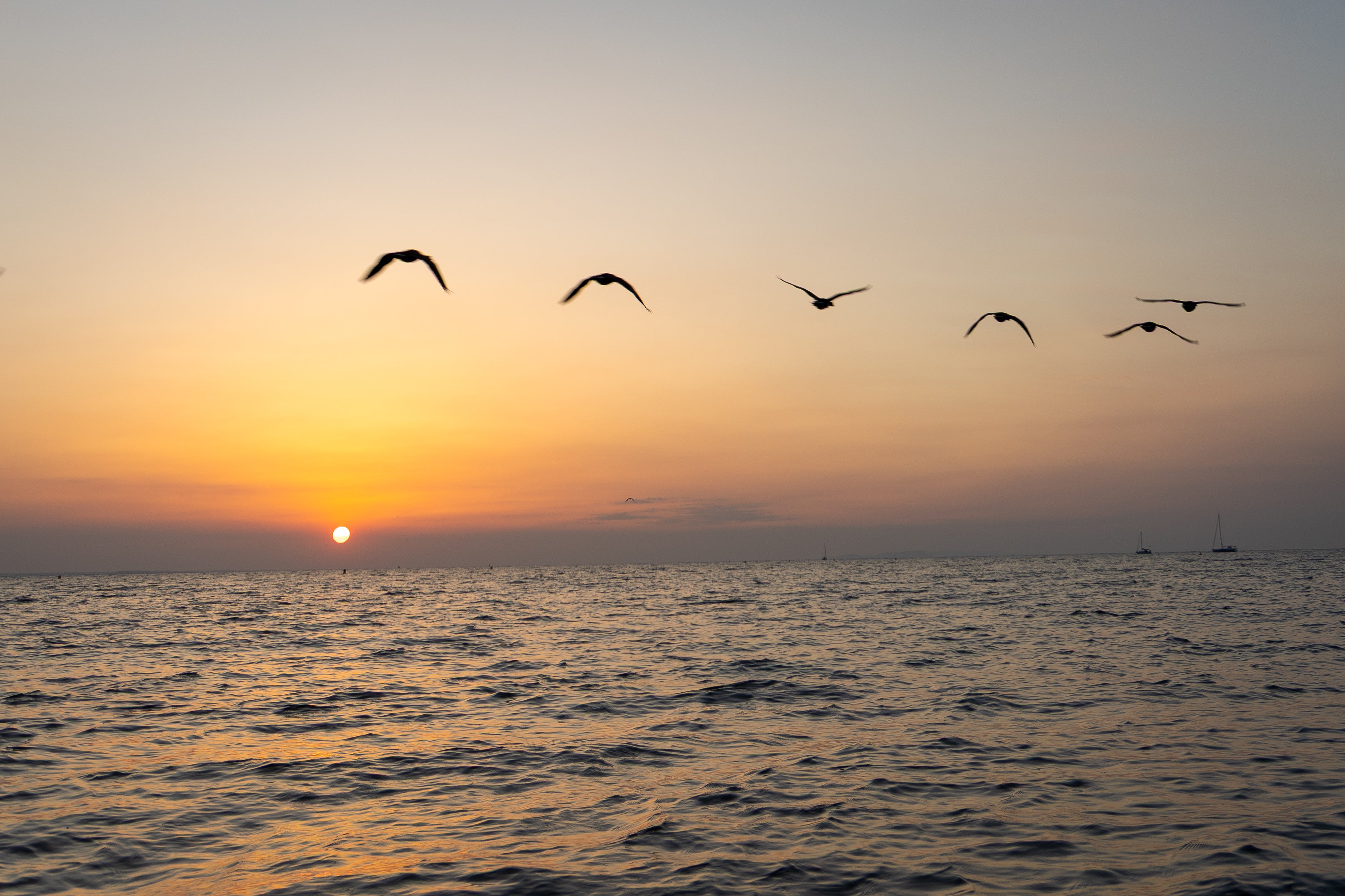 Intro to Wild Swimming - Multiple Dates