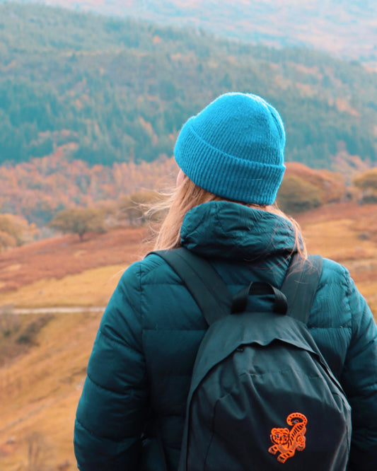 The Eryri (Snowdonia) Retreat 24th-26th Oct '27