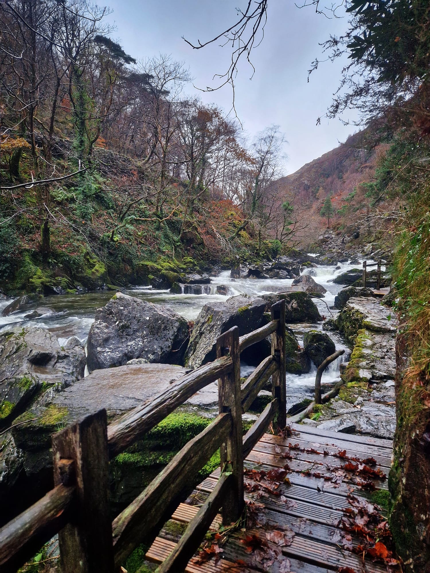 Lake District Wild Swimming Adventure Days