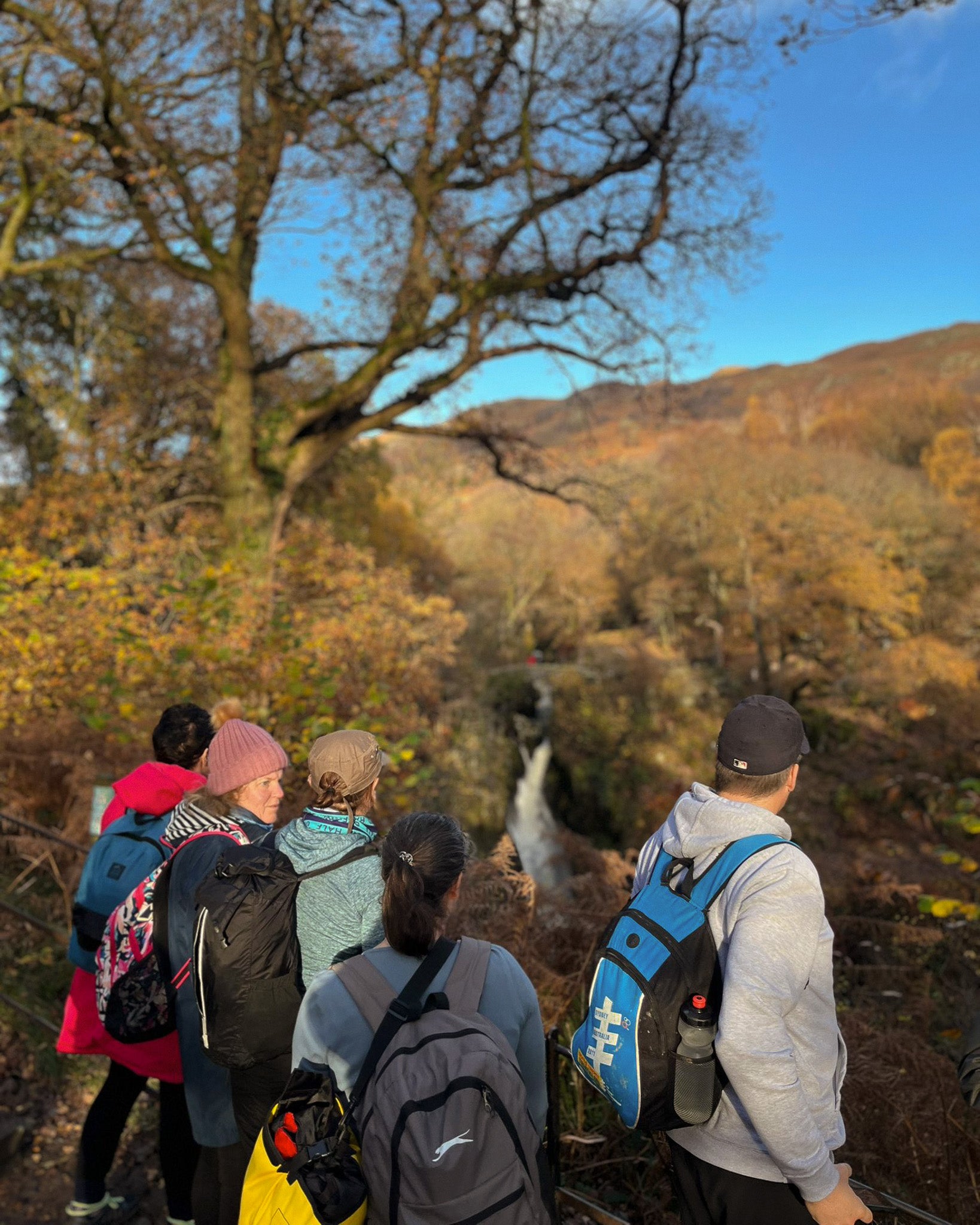 Morning Hike & Swim Club