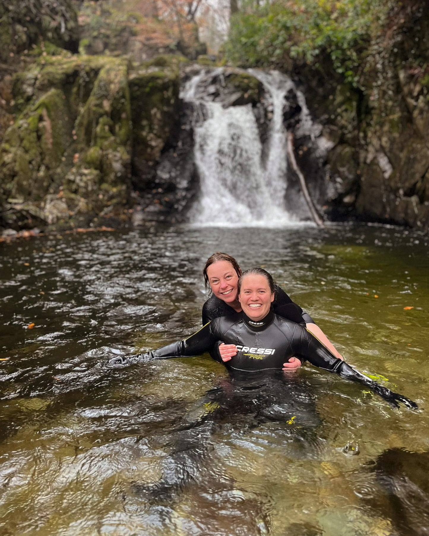 Paws & Plunge 4th-6th Nov '26