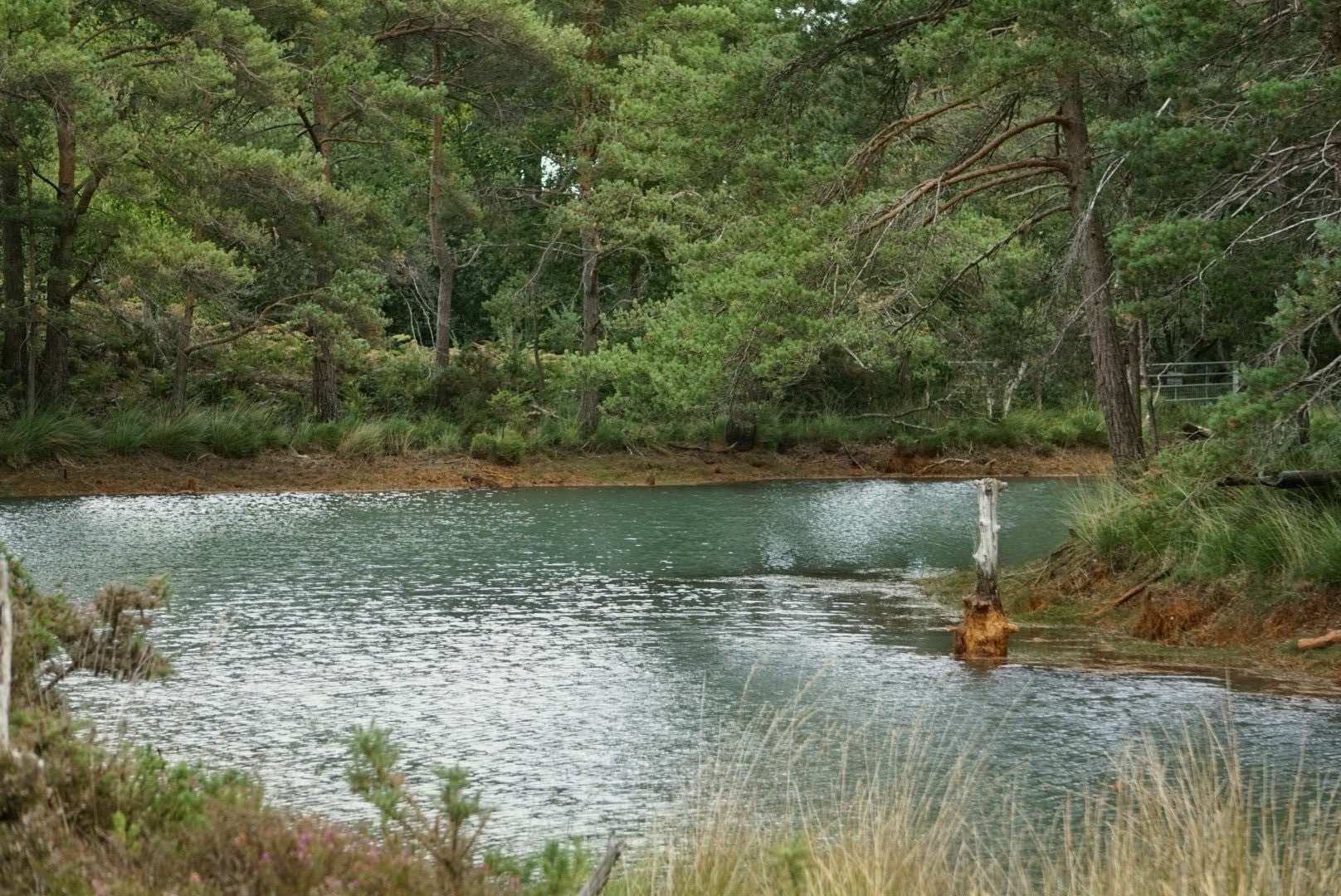 The Dorset Wild Camp 27- 29 August '27