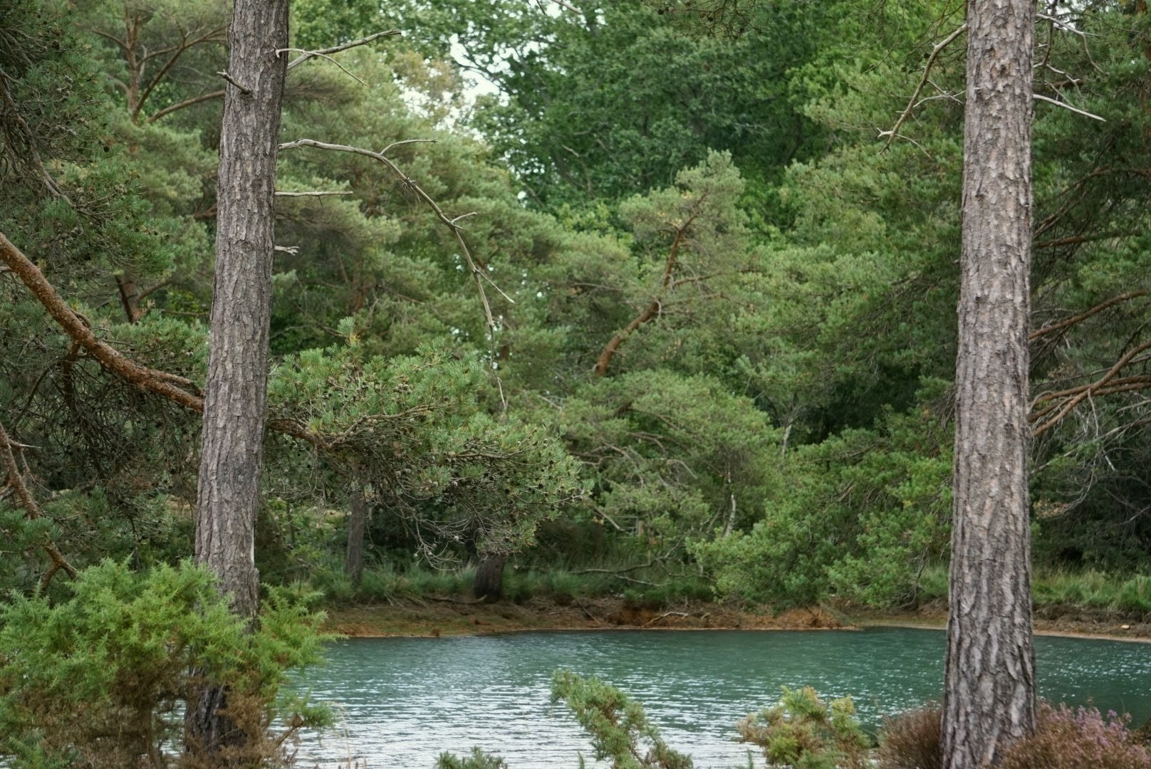 The Dorset Wild Camp 27- 29 August '27