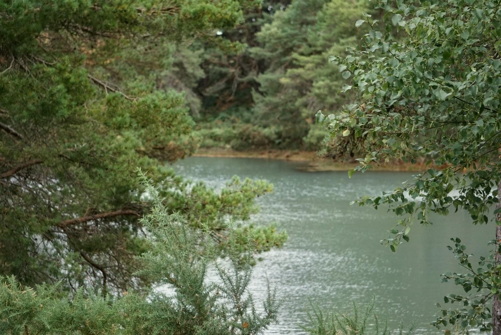 The Dorset Wild Camp 27- 29 August '27