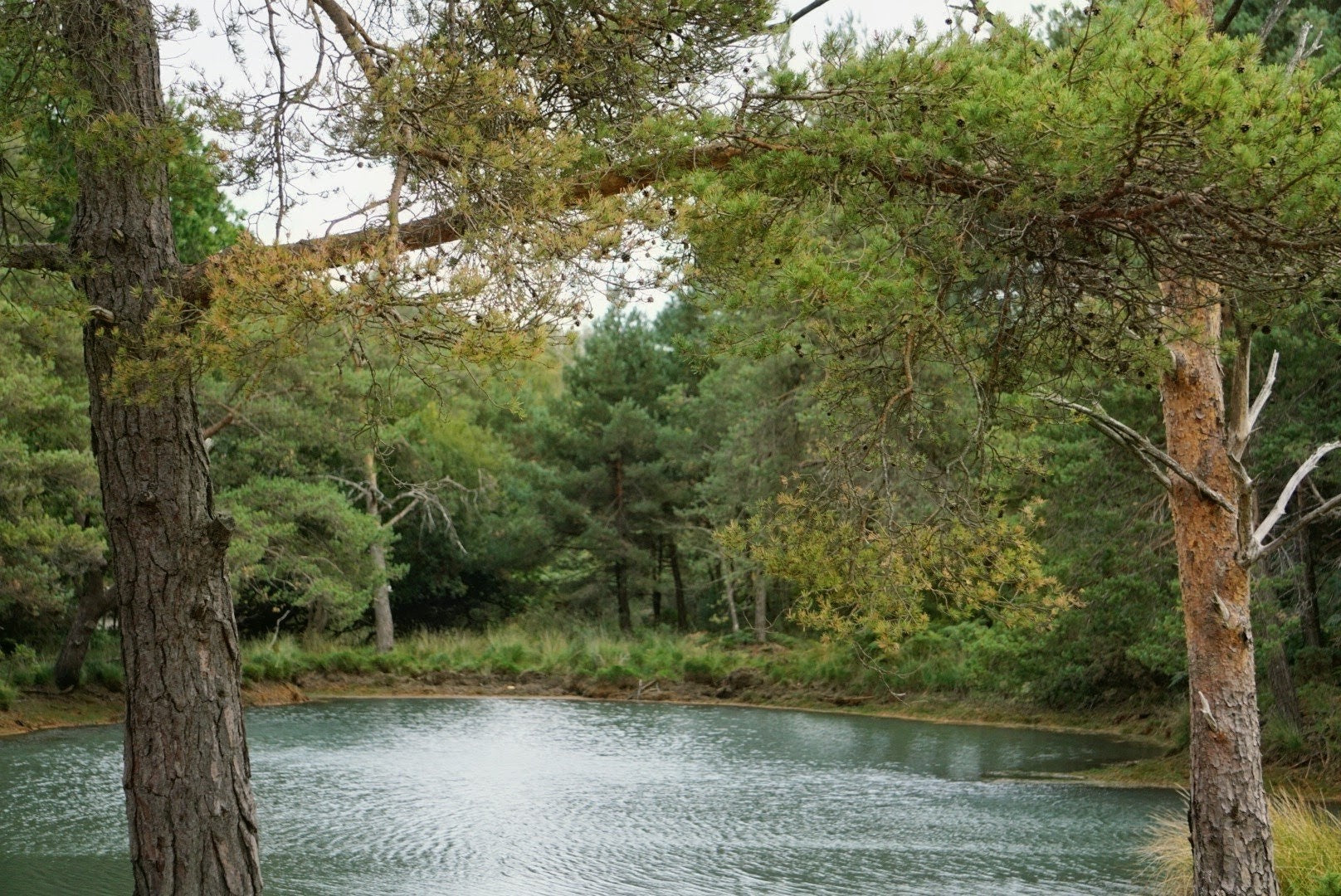 The Dorset Wild Camp 27- 29 August '27