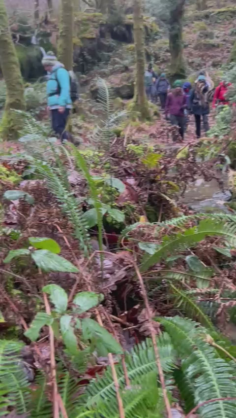 Lake District Wild Swimming Adventure Days
