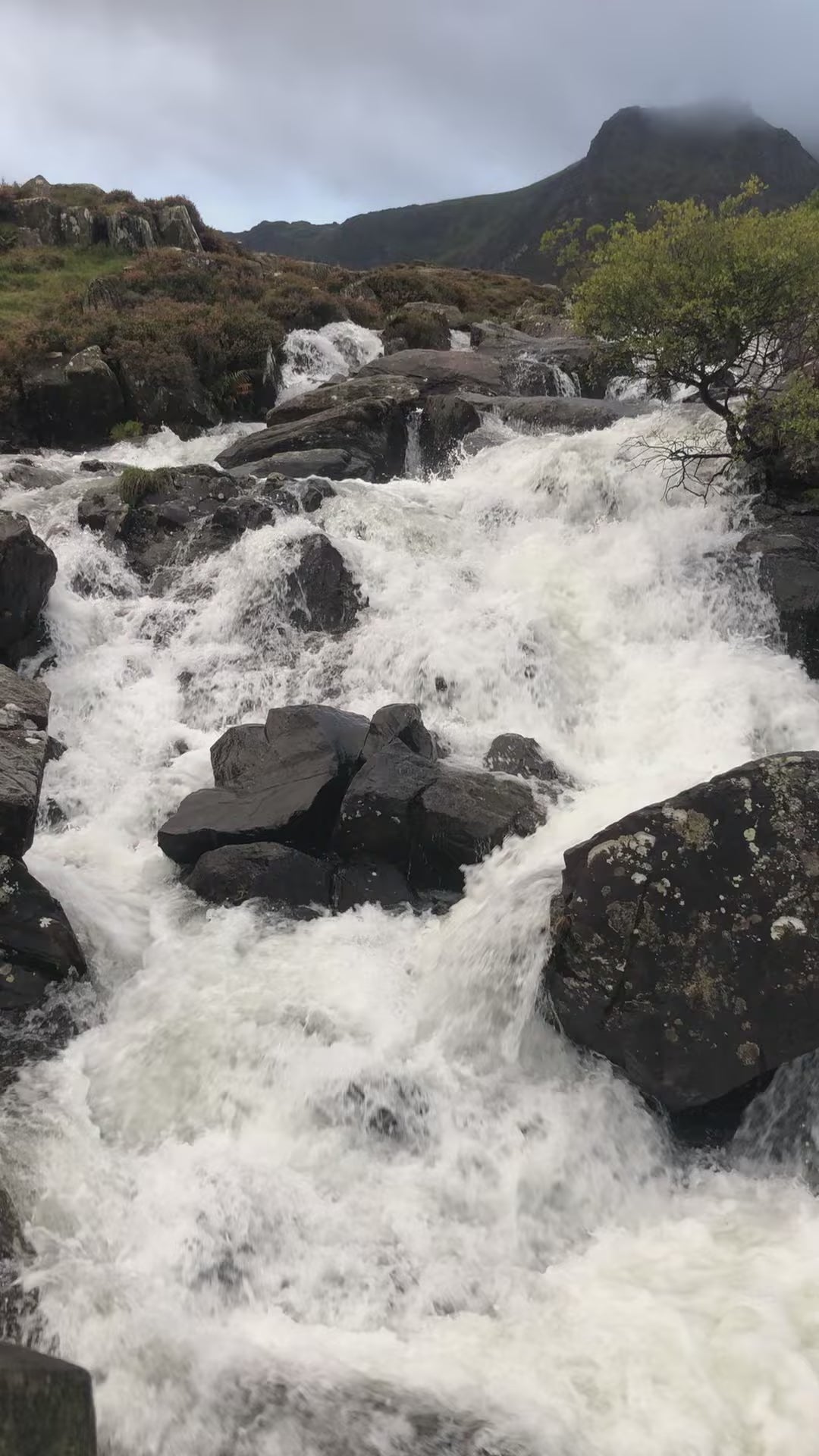 North Wales Wild Swimming Adventure Days