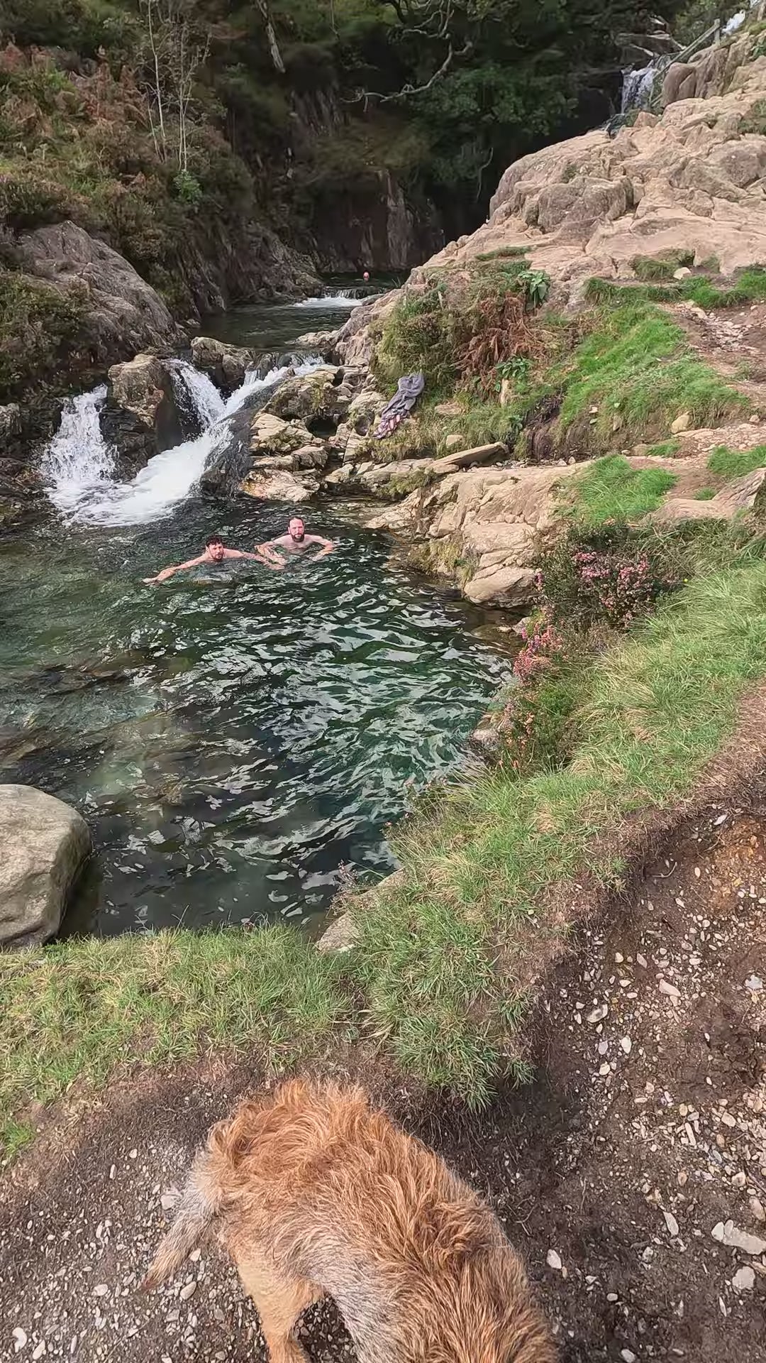Lake District Wild Swimming Adventure Days