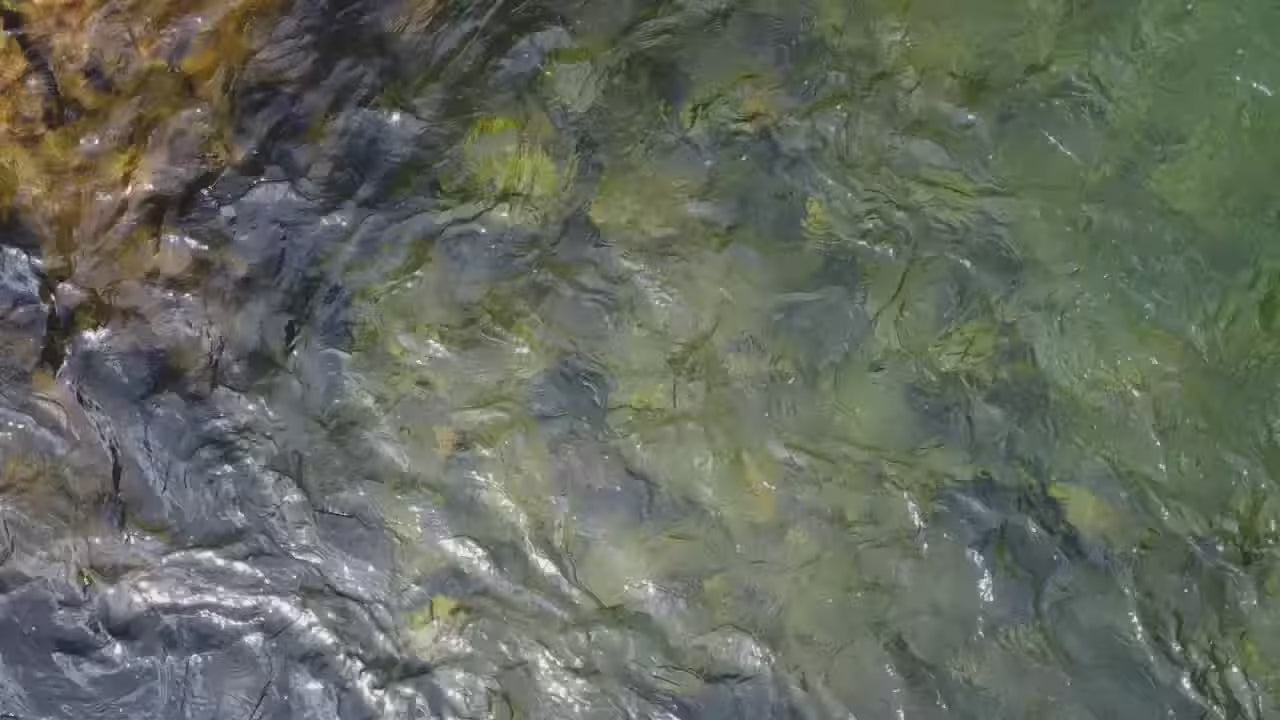 Lake District Wild Swimming Adventure Days